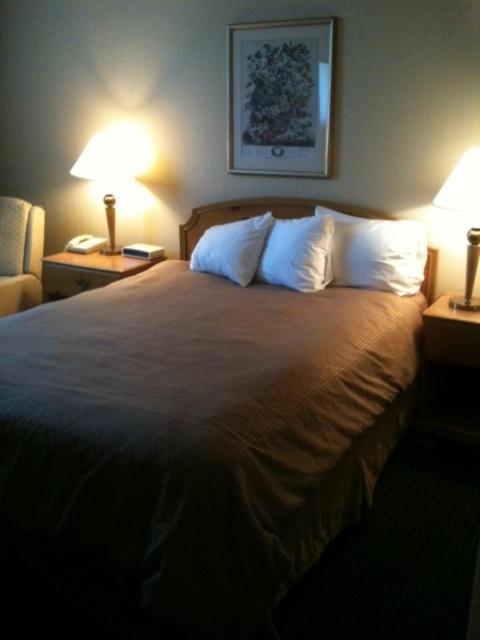 Carol Hotel Omaha Bilik gambar